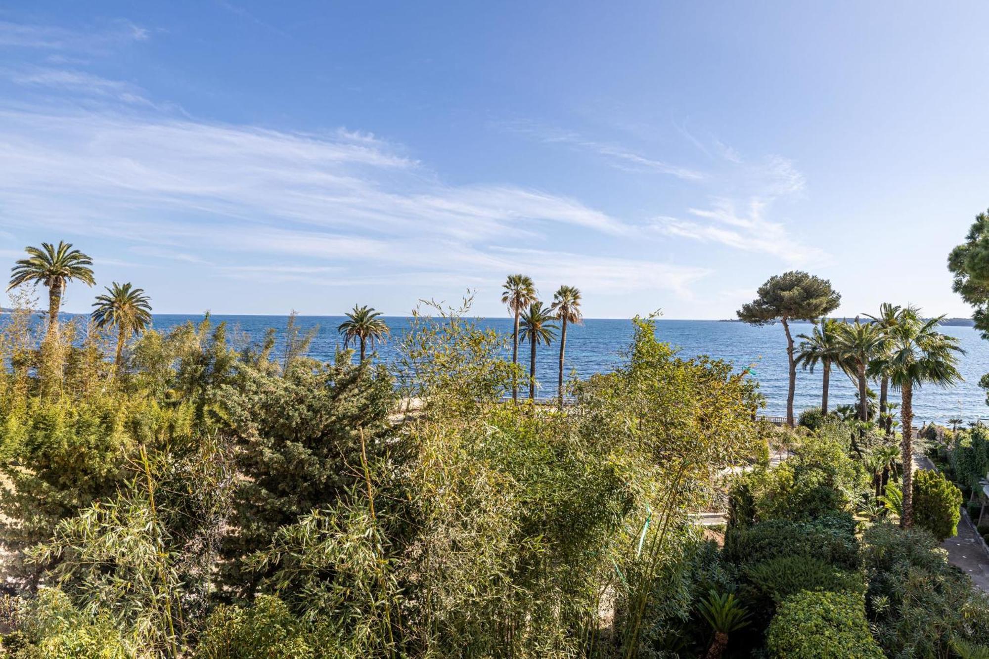 Ref 1981 - Sea View Palm